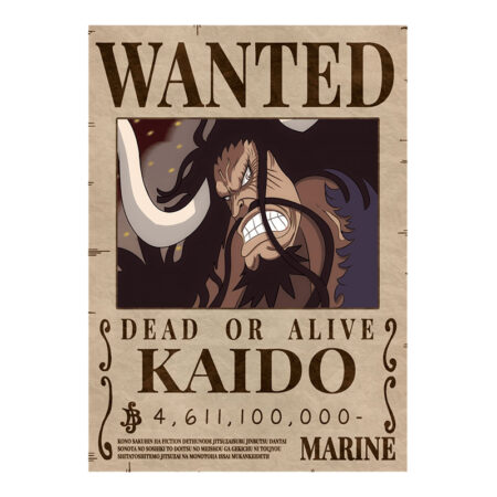 poster-prime-kaido